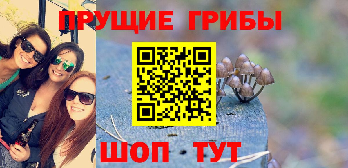 Меф Вичуга