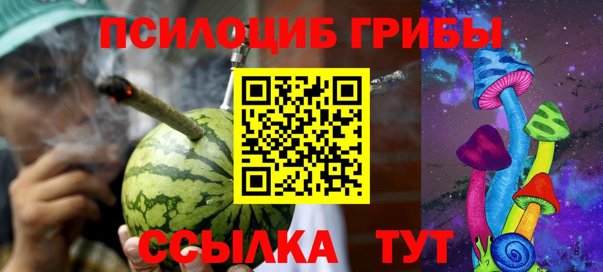 Псилоцибиновые грибы мицелий Вичуга