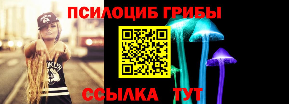 Вичуга  Галлюциногенные грибы мицелий  Вход с VPN  Псилоцибиновые грибы Magic Shrooms 